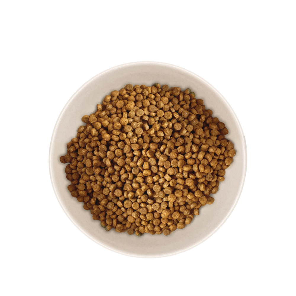 Échantillon de Croquettes Chiot de Petite Taille