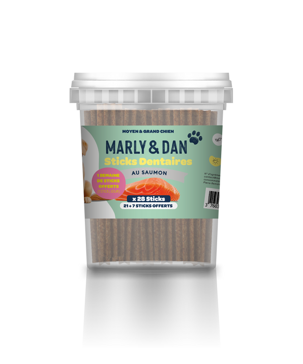 Dental seau 28 sticks Chien M/L