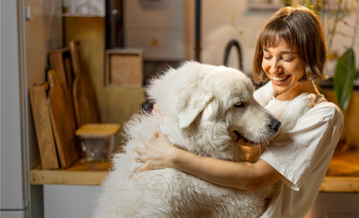 L’alimentation saine pour chien et chat
