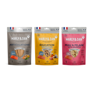 Coffret de friandises pour chien