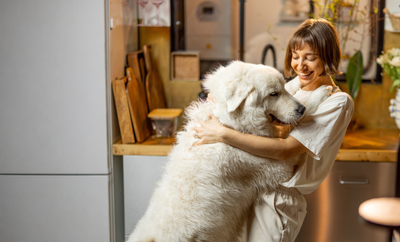 L’alimentation saine pour chien et chat