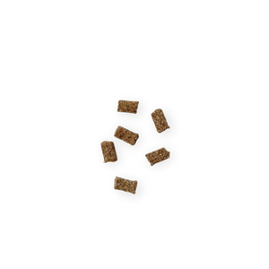 Friandises Digestion pour Chat