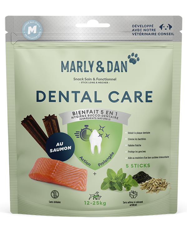 Dental stick pour chien de moyenne taille au saumon