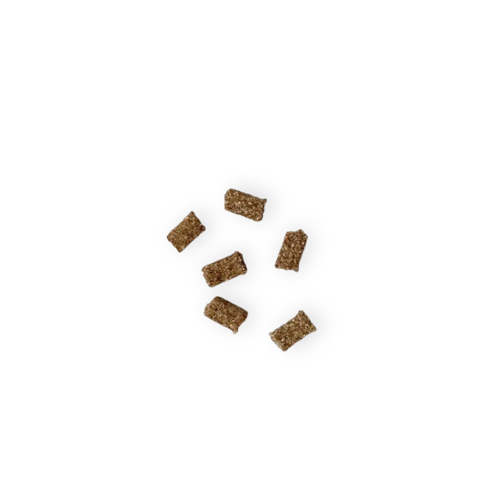 Friandises Calme Mini Chien