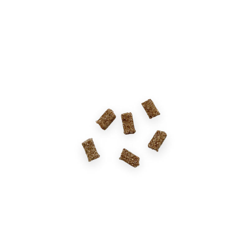 Friandises Digestion Mini Chien