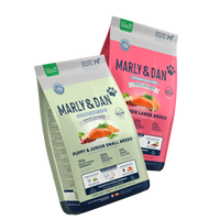 Découvrez les nouveautés