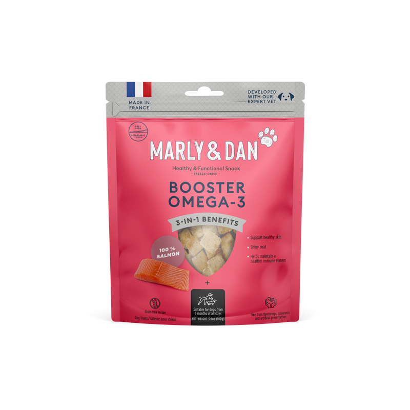 Salmon treats for dog