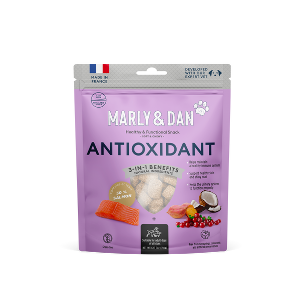 Salmon Treats Antioxidant for Dog, Marly & Dan, Big Format