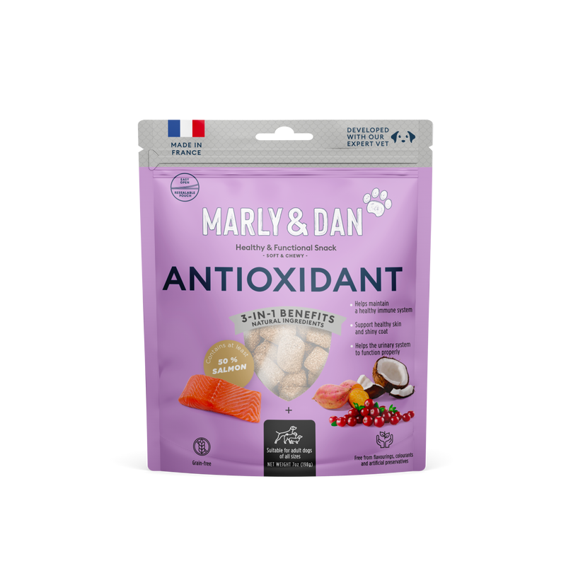 Salmon Treats Antioxidant for Dog, Marly & Dan, Big Format