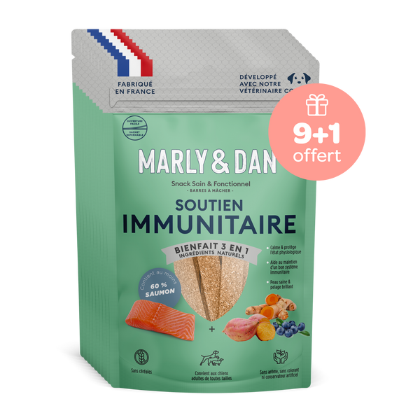 Friandises Soutien immunitaire pour Chien 9+1