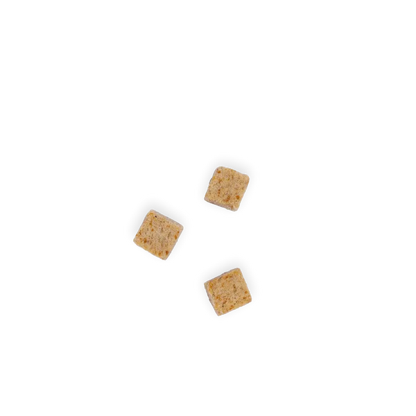 Peau & Pelage 100% saumon pour Chat