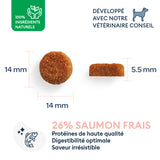 Croquettes Chien Adulte de Moyenne Taille 4kg