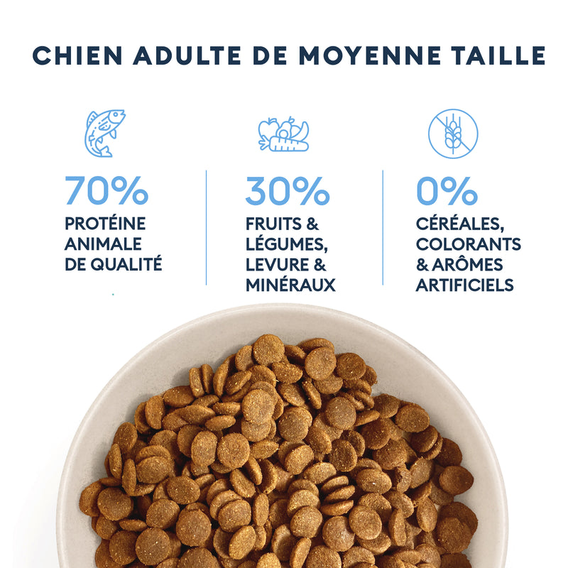 Croquettes Chien Adulte de Moyenne Taille 4kg