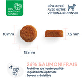 Échantillon de Croquettes Chien Senior de Moyenne & Grande Taille