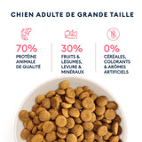 Croquettes Chien Adulte de Grande Taille 12kg