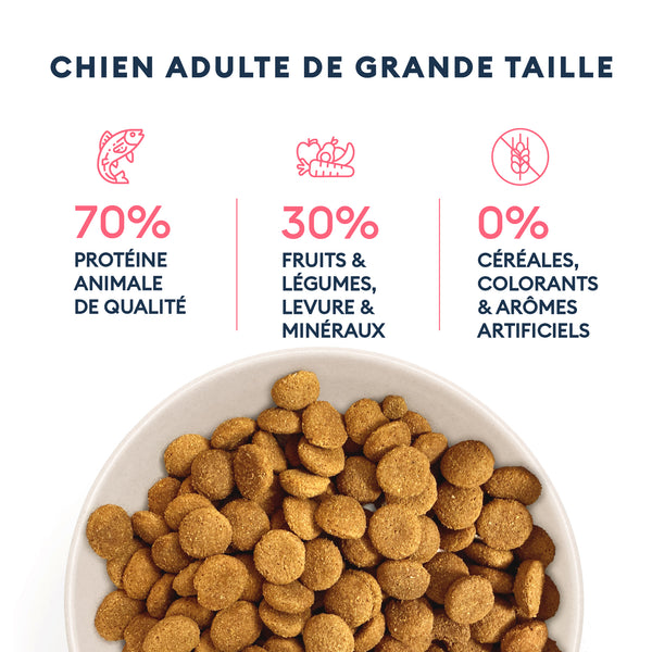 Croquettes Chien Adulte de Grande Taille 12kg