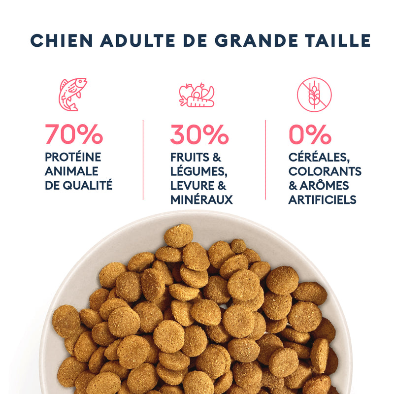 Croquettes Chien Adulte de Grande Taille 12kg