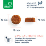 Échantillon de Croquettes Chien Adulte de Grande Taille