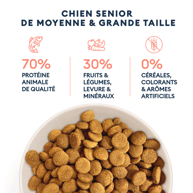 Échantillon de Croquettes Chien Senior de Moyenne & Grande Taille