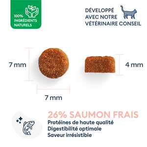 Croquettes pour chaton