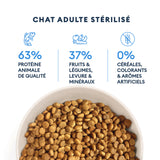 Campione di chat per adulti sterilizzati