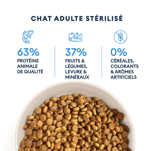 Campione di chat per adulti sterilizzati