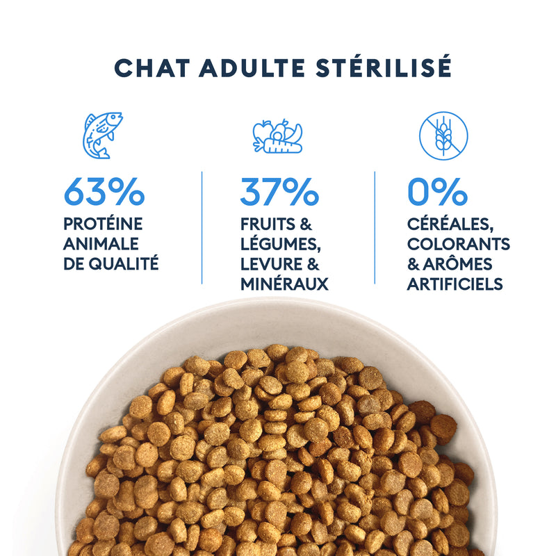 Campione di chat per adulti sterilizzati