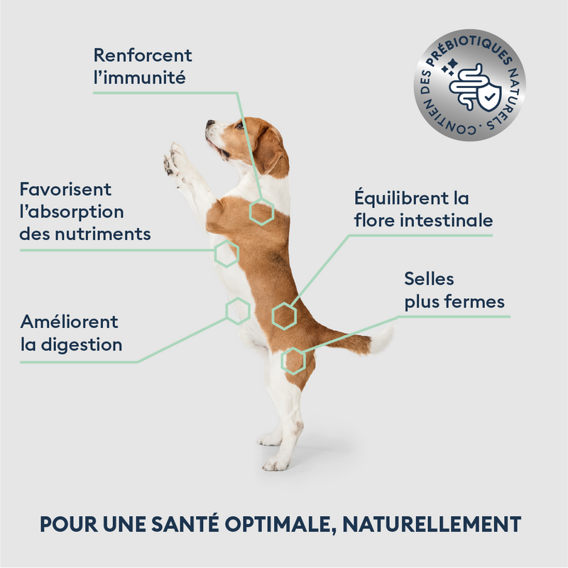 Croquettes Chiot de Petite Taille 4kg