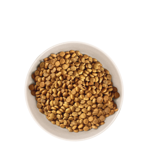 Le 2ème à -40% : Croquettes Chien Senior de petite Taille 4kg