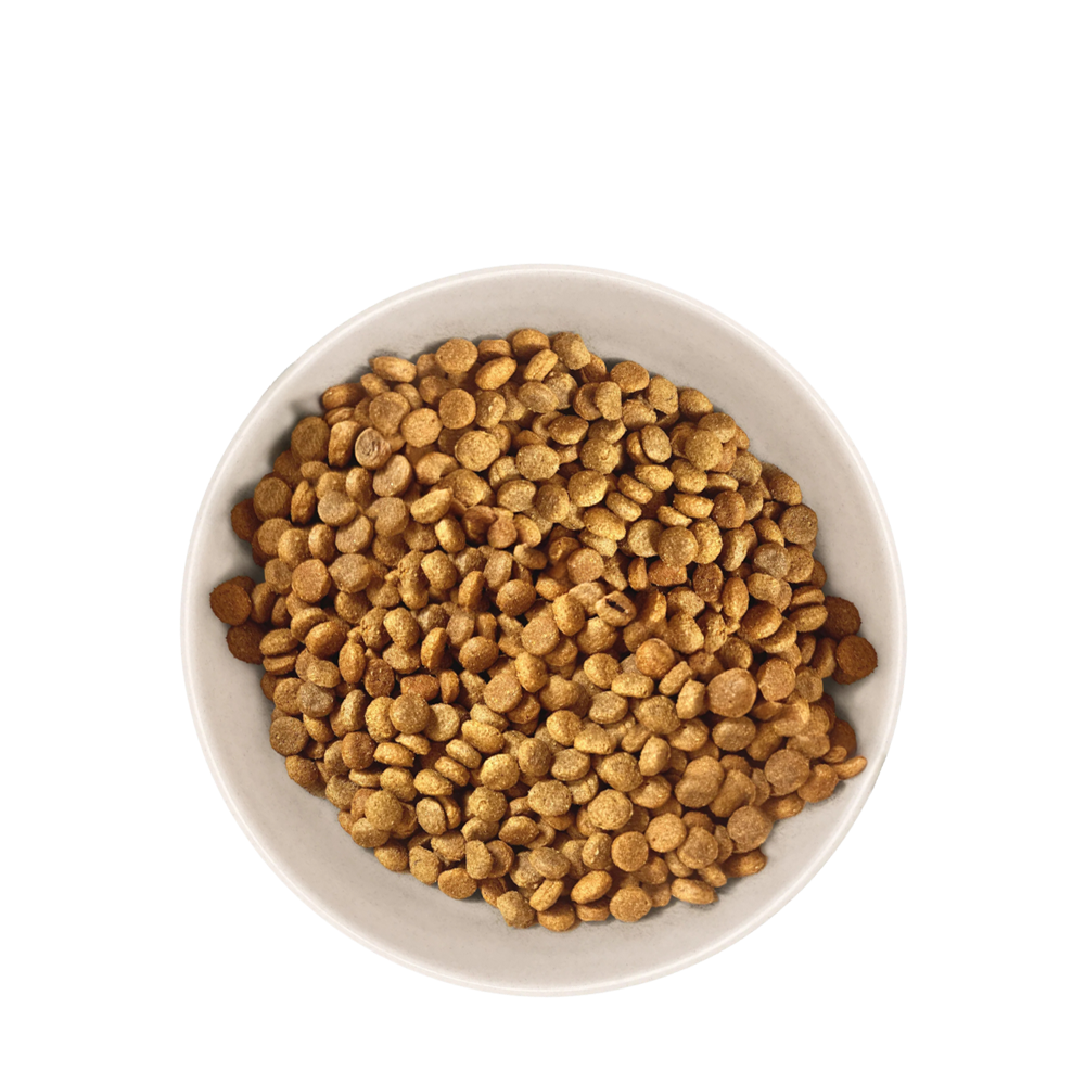 Croquettes Chien Senior de petite Taille