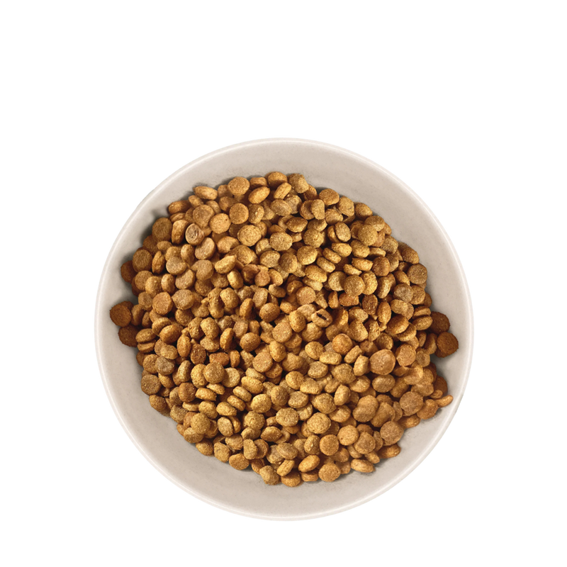 Croquettes Chien Senior de petite Taille