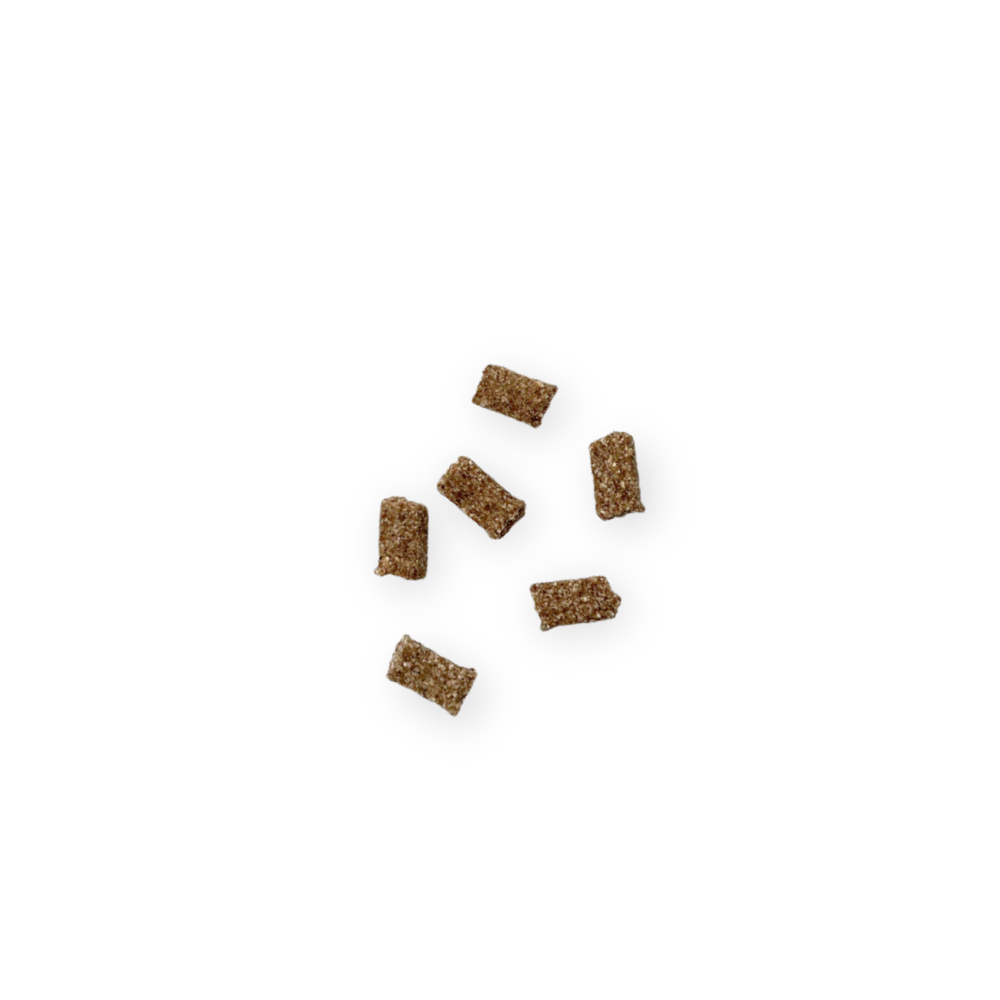 Friandises Urinaire pour chat