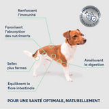 Échantillon de Croquettes Chien Adulte de Petite Taille