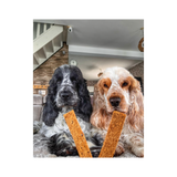 Hundegelenke
