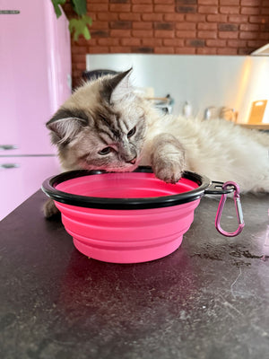 Gamelle Pliable de Voyage