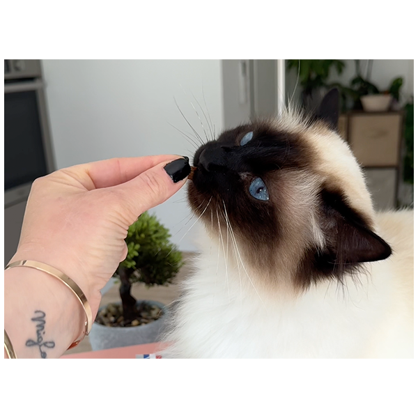 Friandises anti-Boules de Poils pour chat