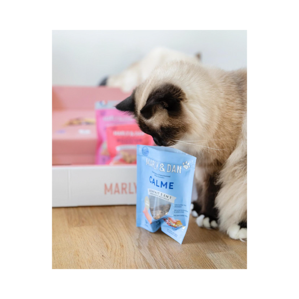 Quiet treats for cats