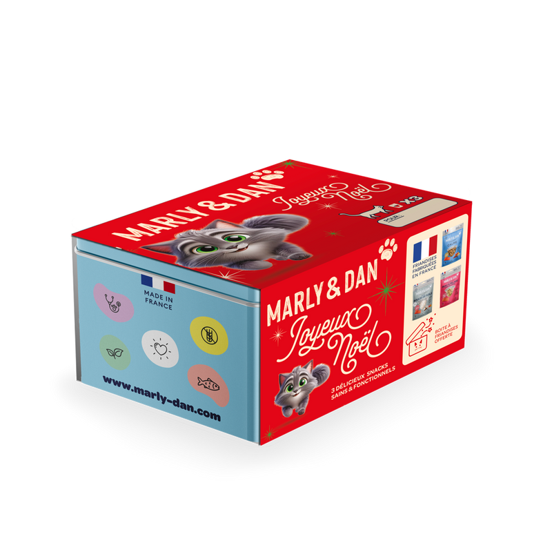 Coffret de Noël bleu pour chat