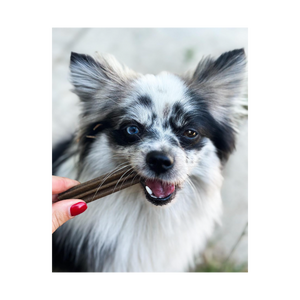 Stick dentali s del cane 7