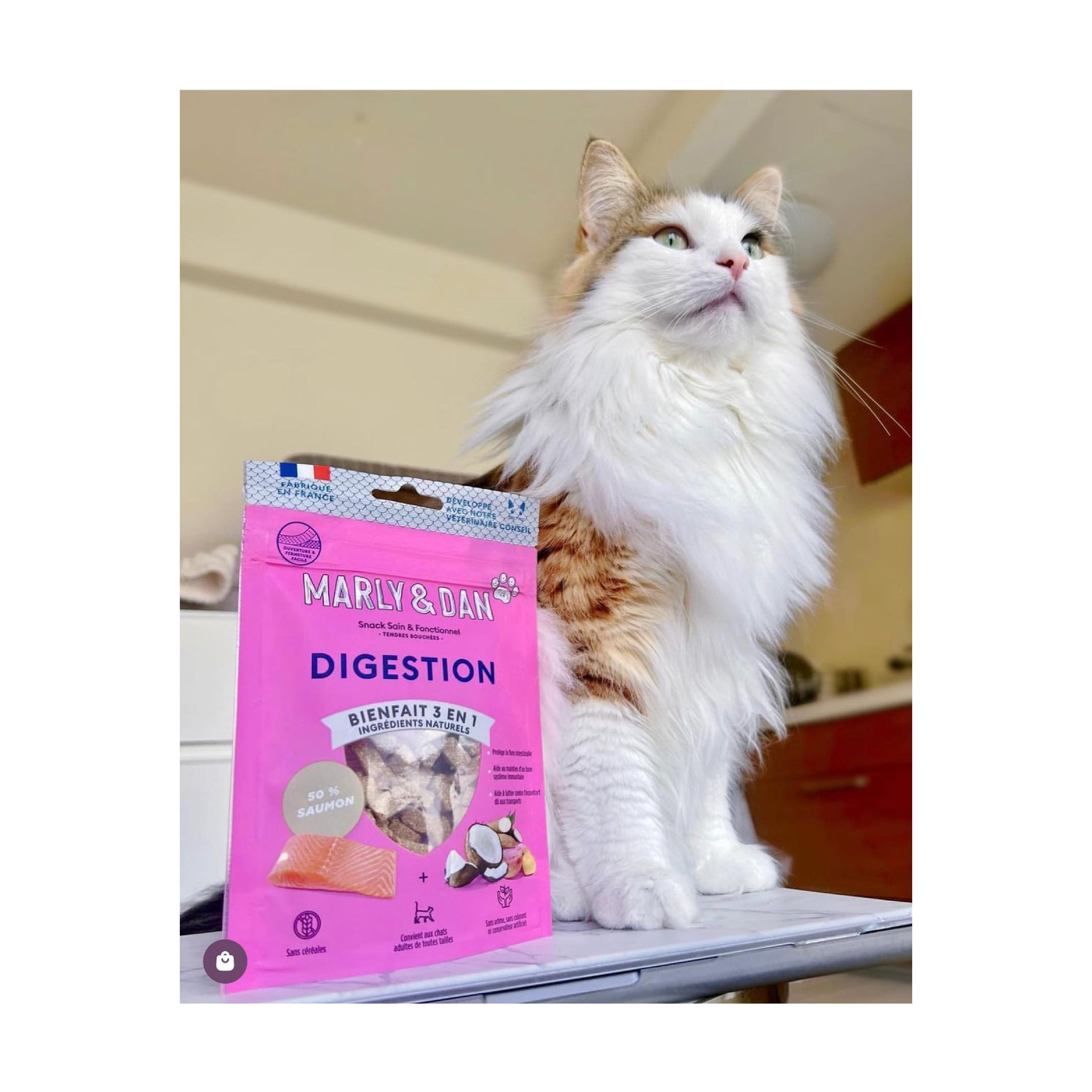 Katzenverdauung