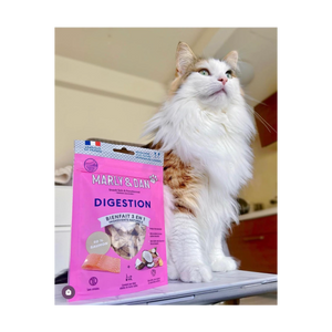 Katzenverdauung
