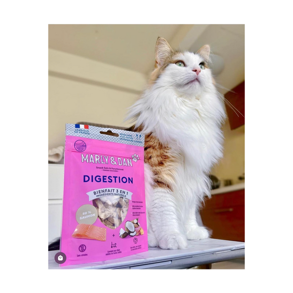 Friandises Digestion pour Chat