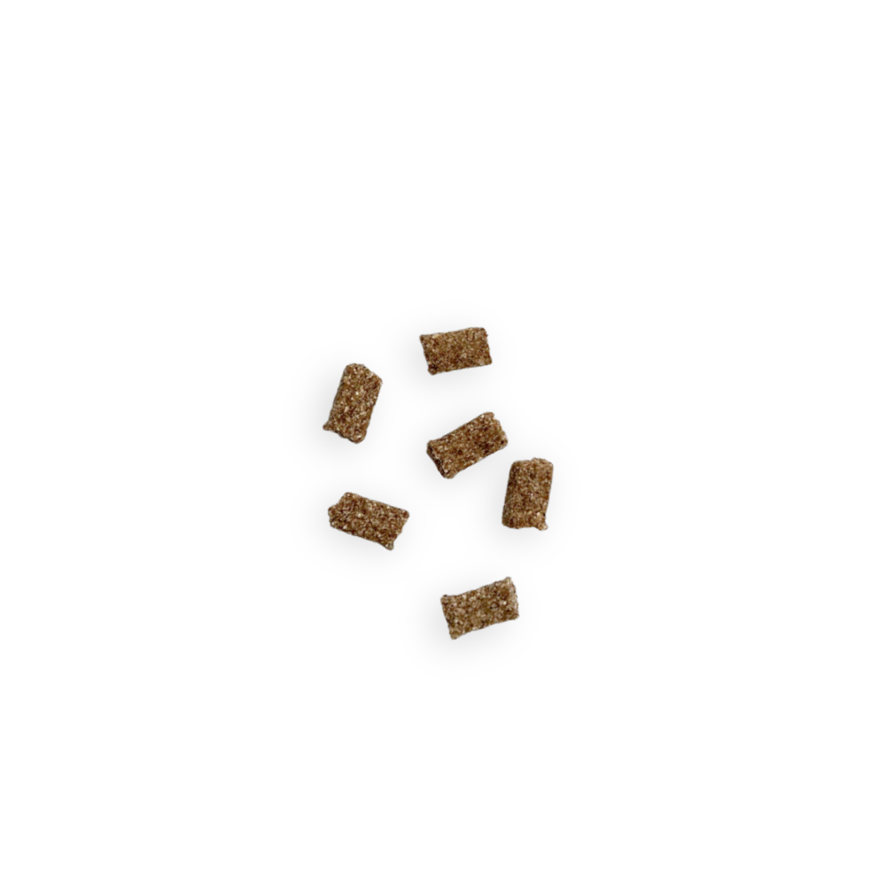 Friandises Education pour Chien