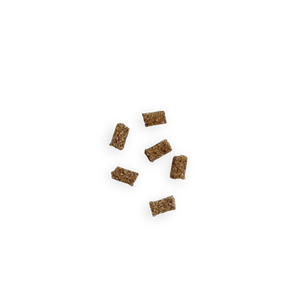 Friandises Education pour Chien