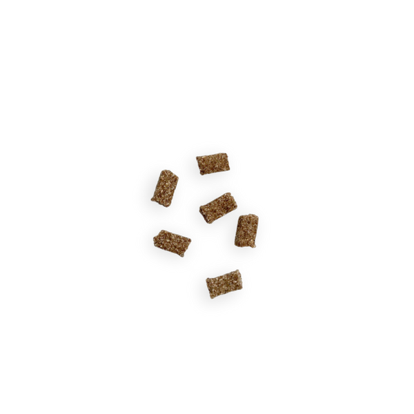 Friandises Education pour Chien