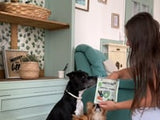 Zahnärztliche M/L -Hund 7 Stöcke