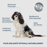 Croquettes Chien Senior de petite Taille 4 kg