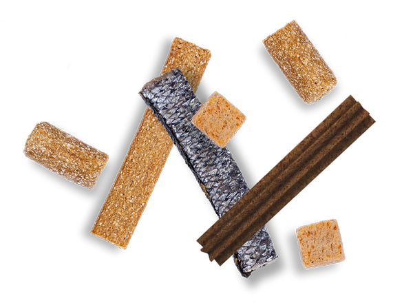 Was sind die besten Snacks für Ihren Hund?